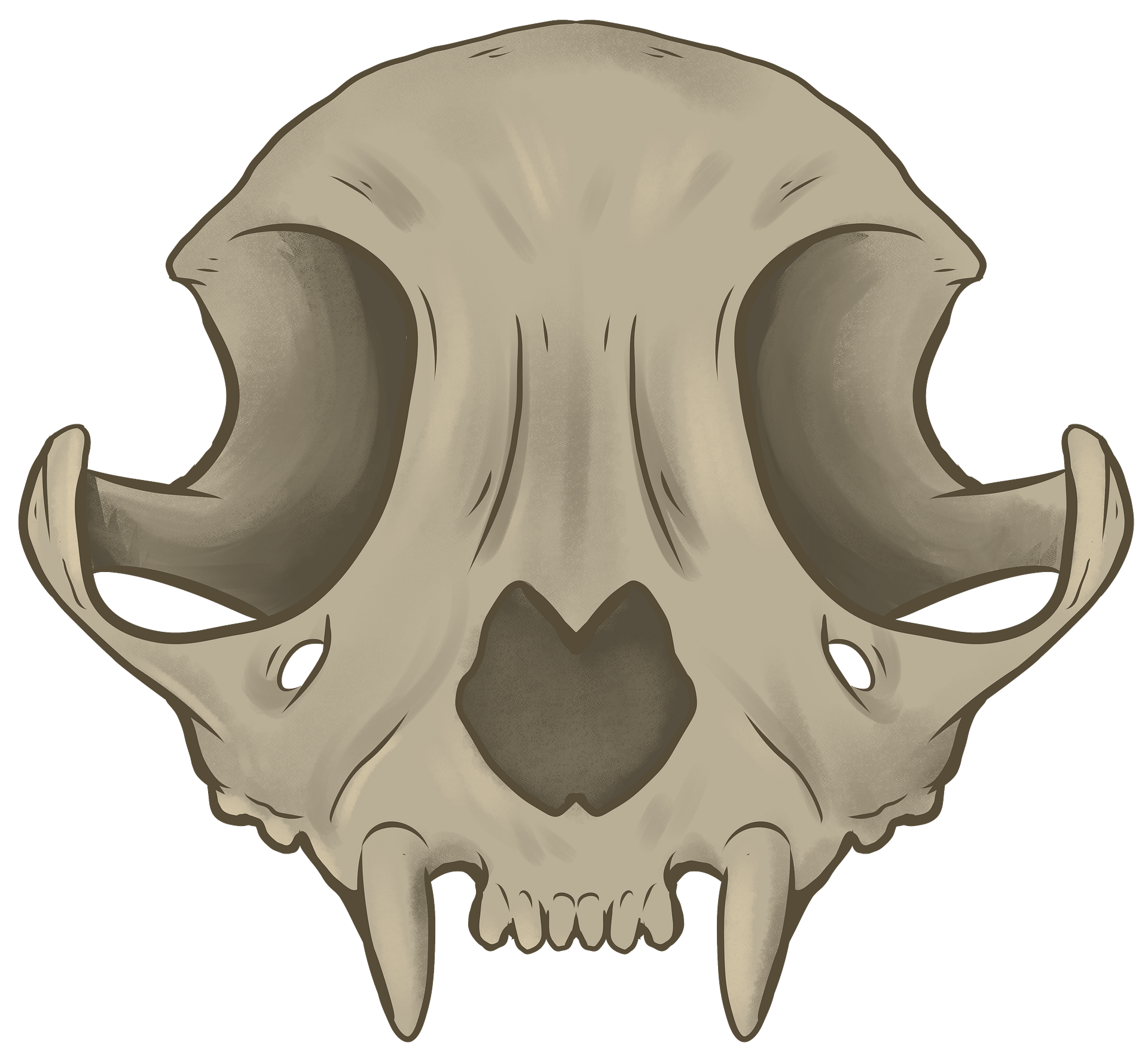CatSkull product image (1)