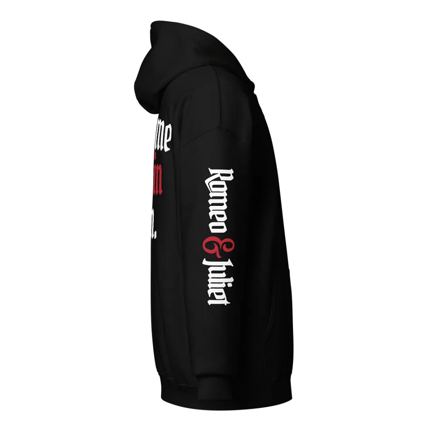 R&J Give Me My Sin Again Zip Up Hoodie product image (4)