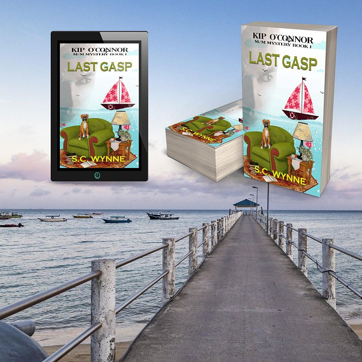 Last Gasp: Kip O'Connor M/M Mystery product image (2)