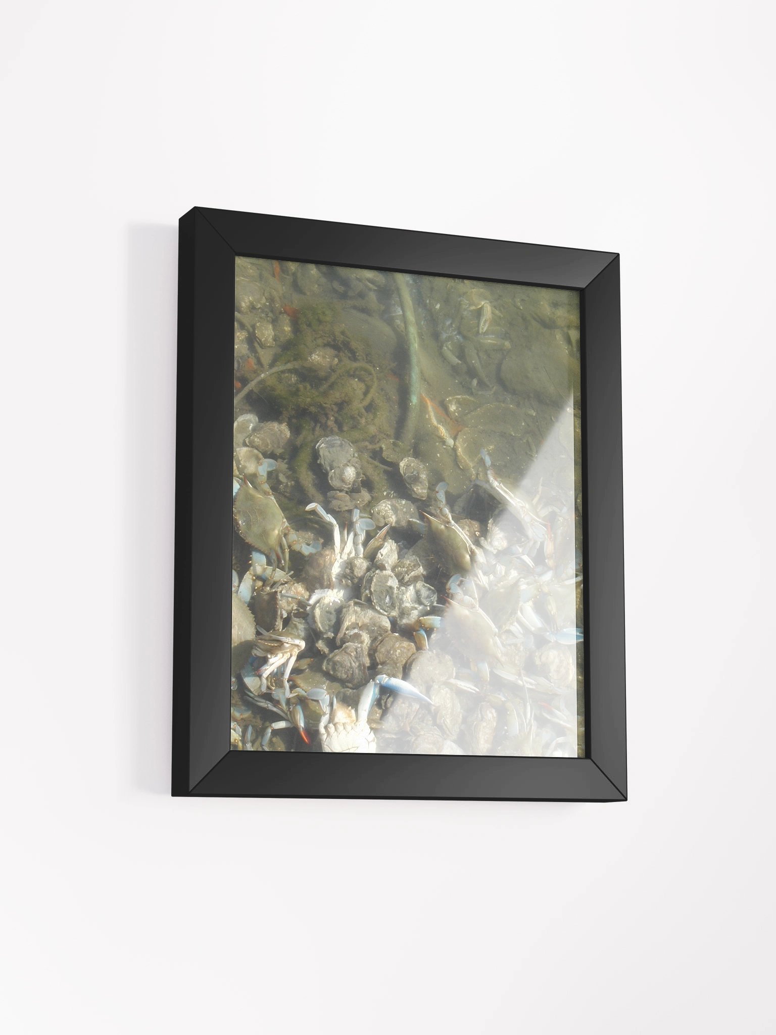 Murky Marine Life Framed Poster product image (19)