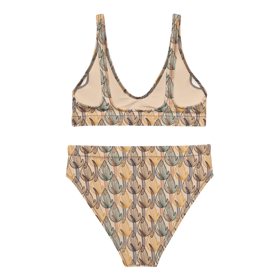 Rayburn | Recycled High Waisted Bikini product image (6)