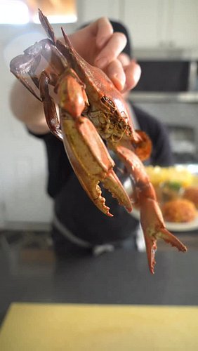 🦀🎂 Mr. Krab Cakes

#cooking #crab #seafood