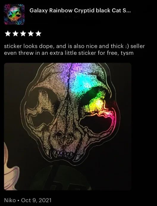 https://cdn.fourthwall.com/sr-creators/resources/f3e4e717-c381-42e2-a414-f52f87d81732/a92f0f700744b8e405ad217a467bf07e_f6c5dc954208.webp