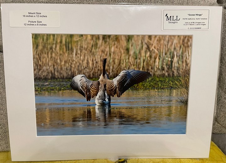 Goose Print product image (1)