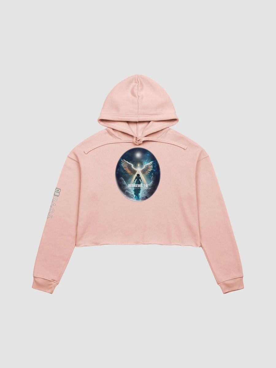 Beyond the Wings - Original Artwork Crop Hoodie product image (1)