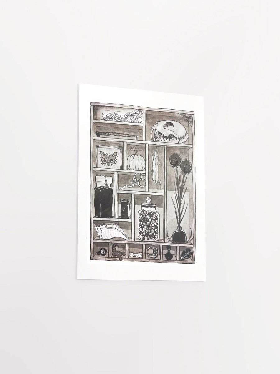 Cabinet of Curiosities Art Print product image (5)