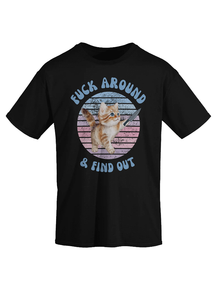 Fuck Around And Find Out T-Shirt product image (2)