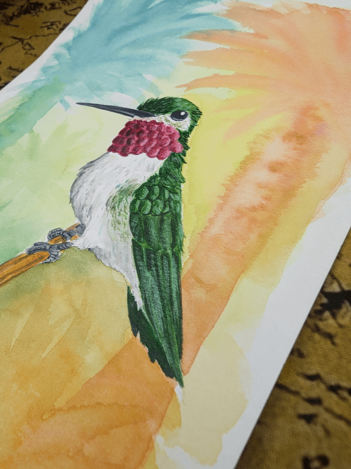 Hummingbird product image (2)