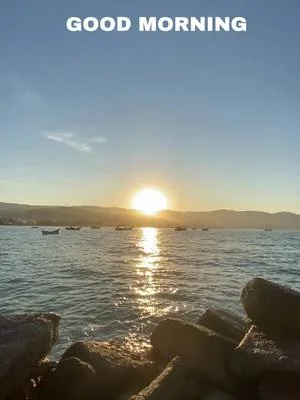 CCP's Scandal #antihumantrafficking #worldpeace 