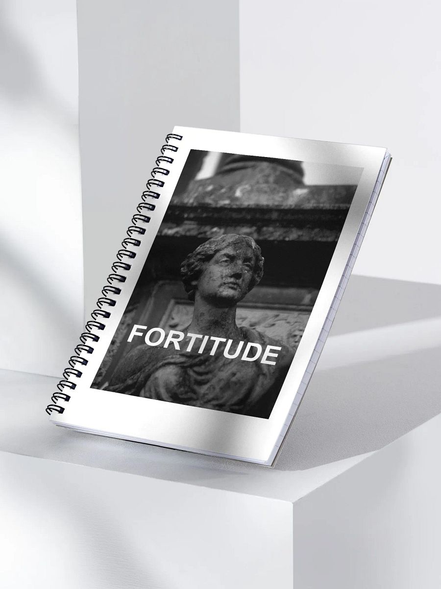 Notebook Fortitude product image (3)