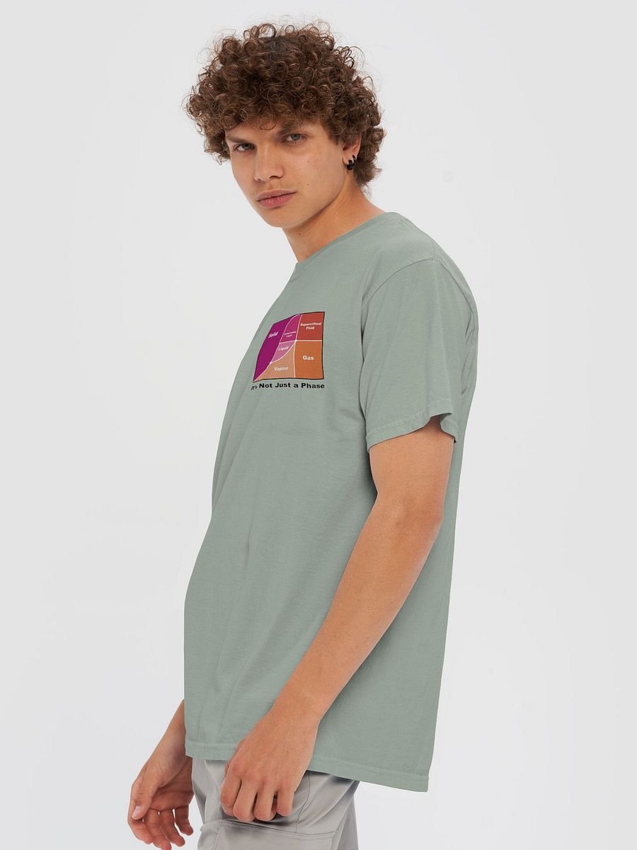 It's Not Just a Phase- Lesbian T Shirt product image (96)