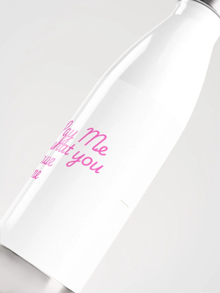 Stainless bottle product image (5)