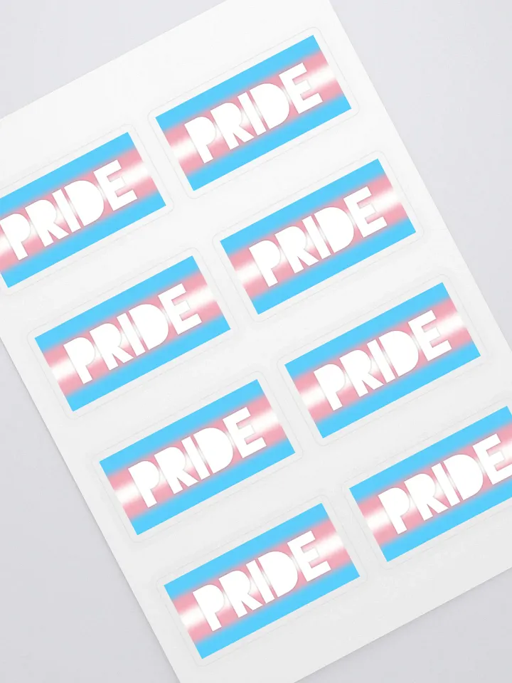 Trans Pride On Display - Stickers product image (1)