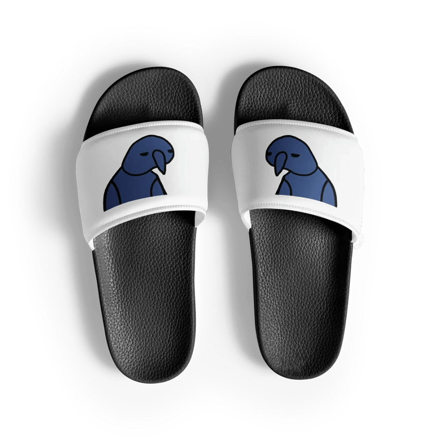Ski Slides product image (4)