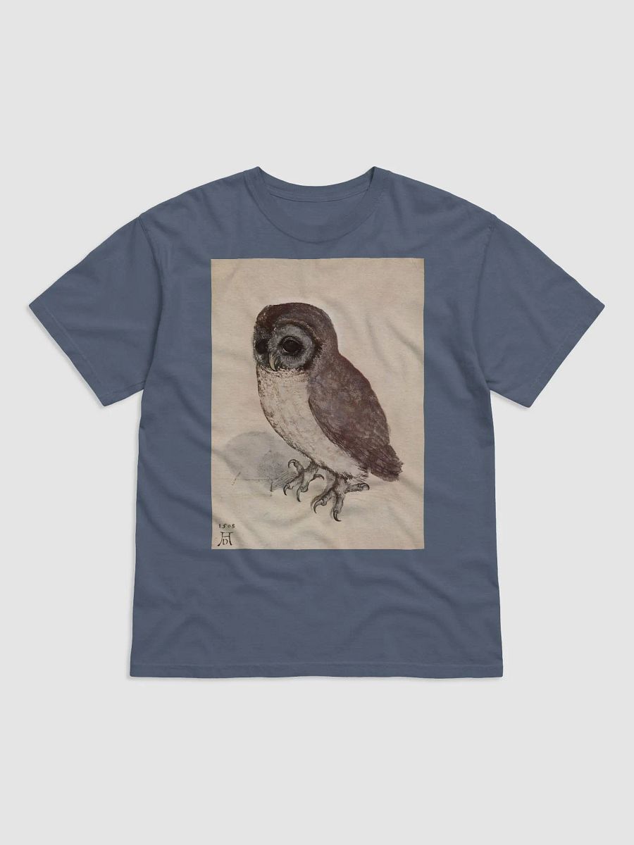 Albrecht Durer The Little Owl Graphic Tee product image (9)