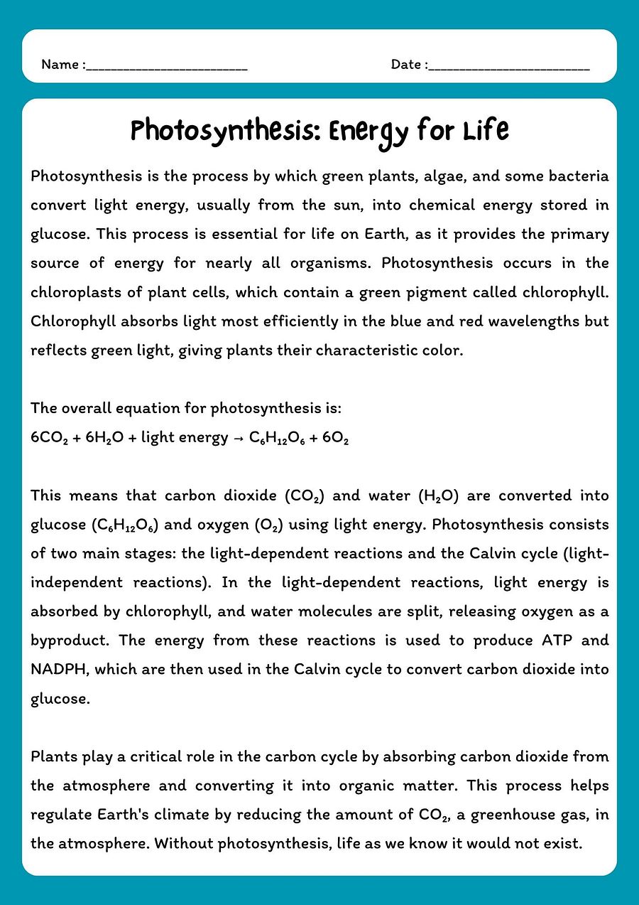 Photosynthesis Reading Comprehension Passage with Questions (PDF Download) product image (1)