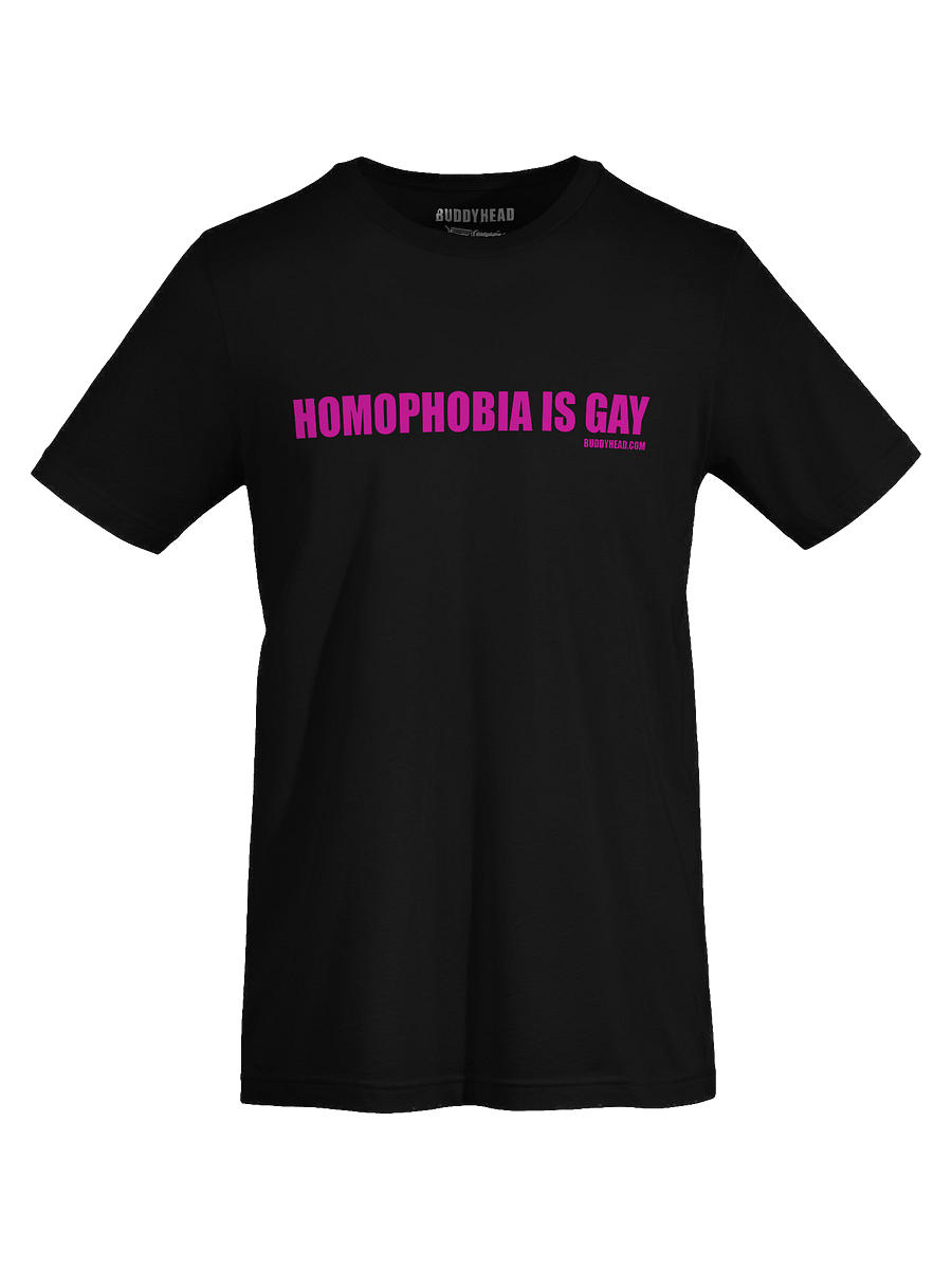 Homophobia Is Gay tee product image (34)
