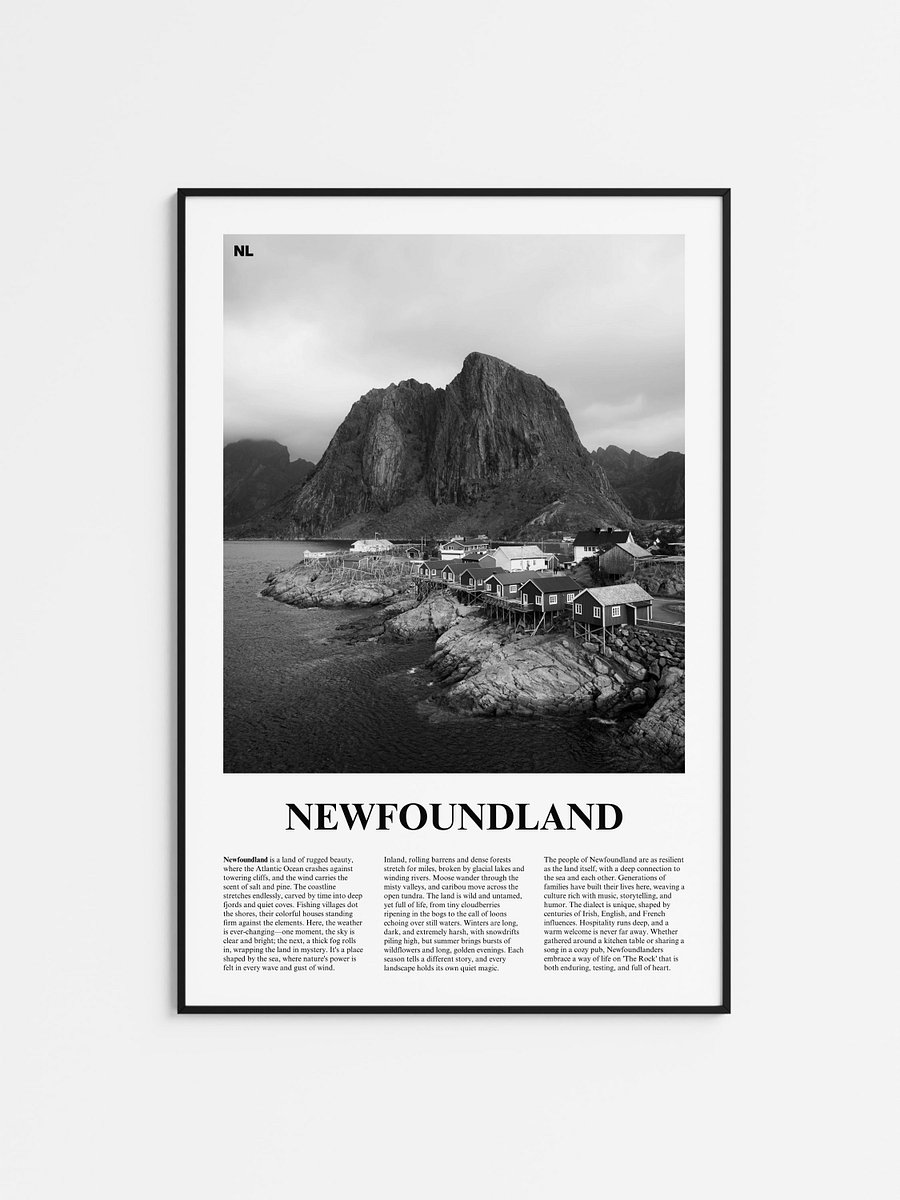 Newfoundland 02 Newspaper Poster product image (1)