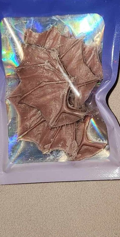 bat wing wax melt (10 in each pack) product image (3)
