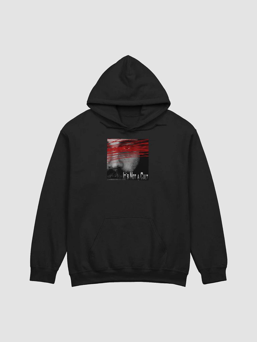 Join the Club Hoodie product image (3)