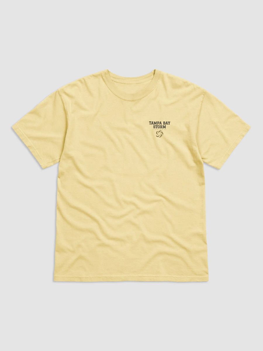 Tampa Bay Storm T-Shirt by Comfort Colors product image (8)