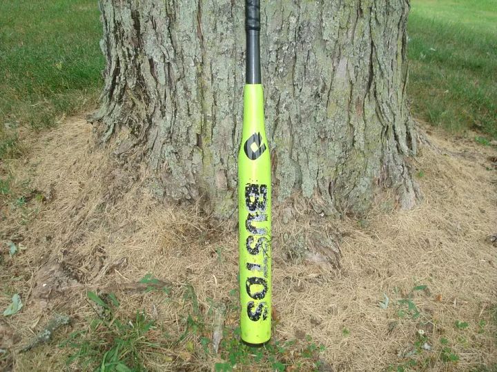 DeMarini Crystl Bustos Signature BFP12 Softball Bat - 32