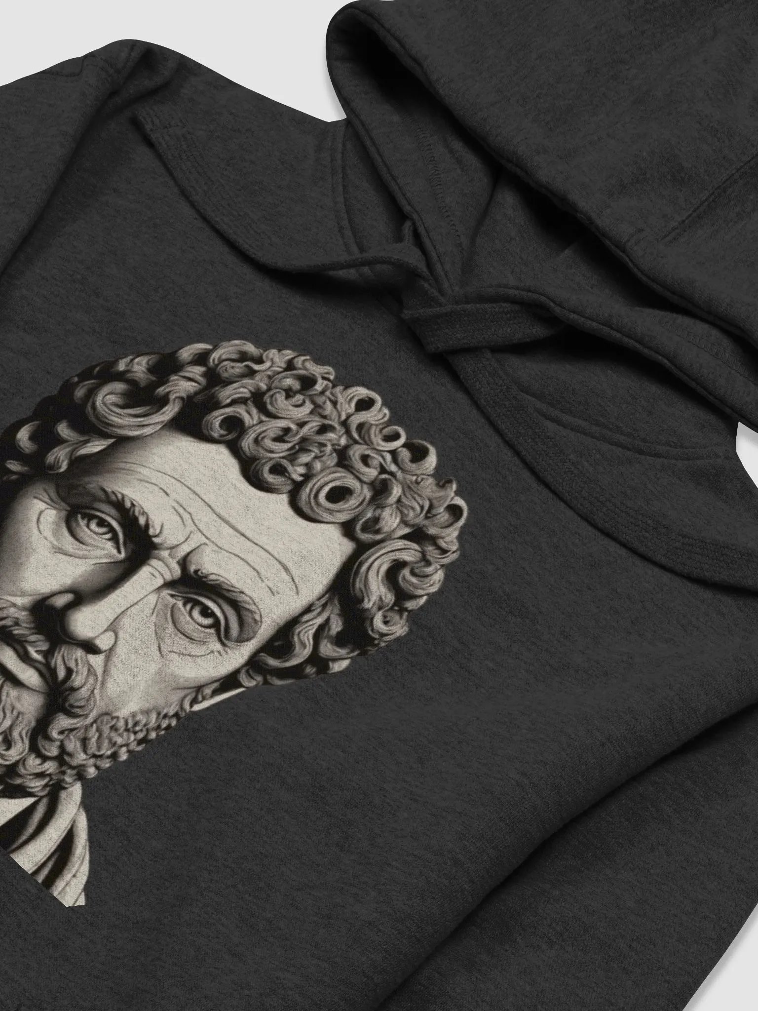 hoodie stoic product image (3)