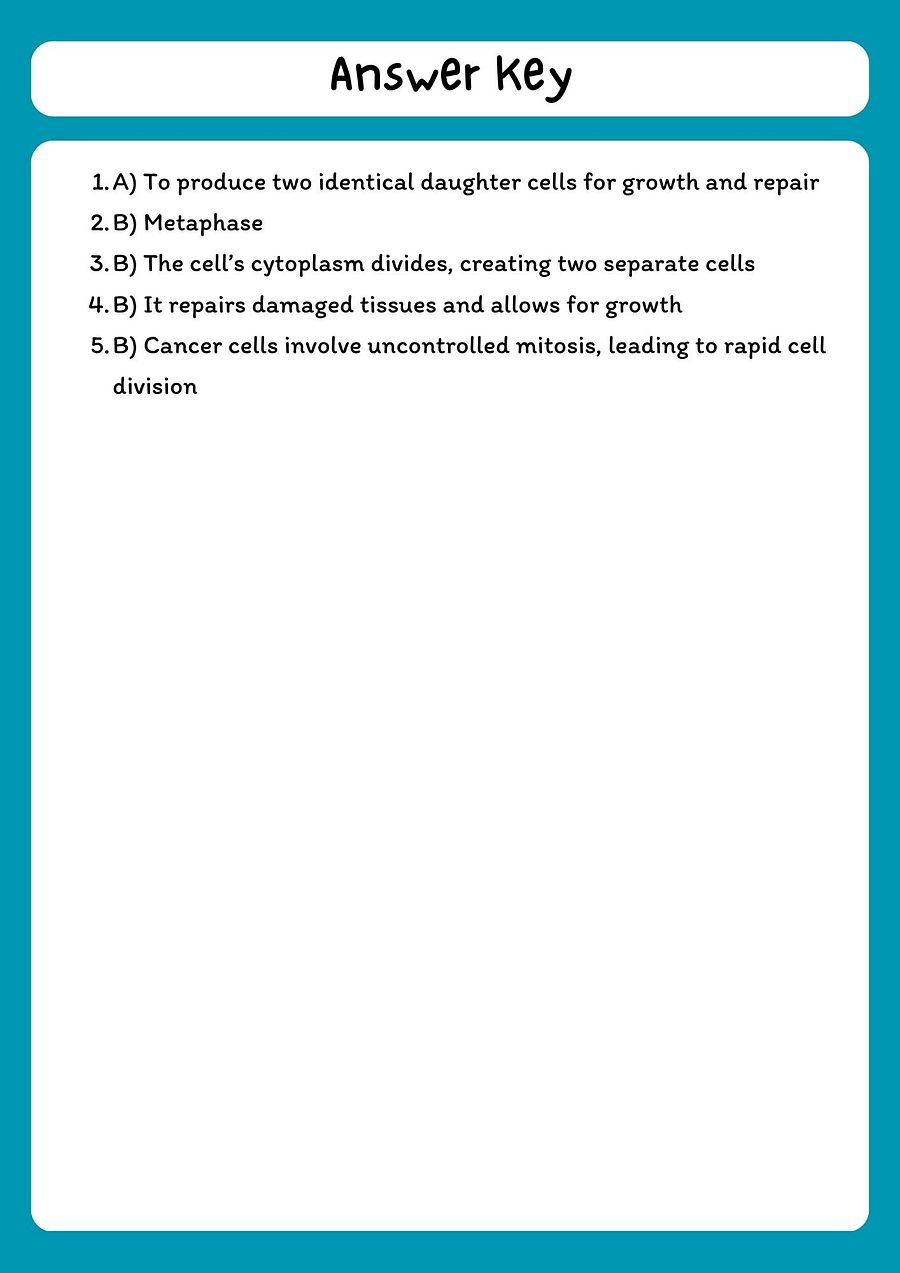 Mitosis Reading Comprehension Passage & Questions product image (3)