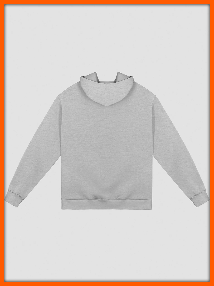D2S "Coal" Hoodie product image (2)
