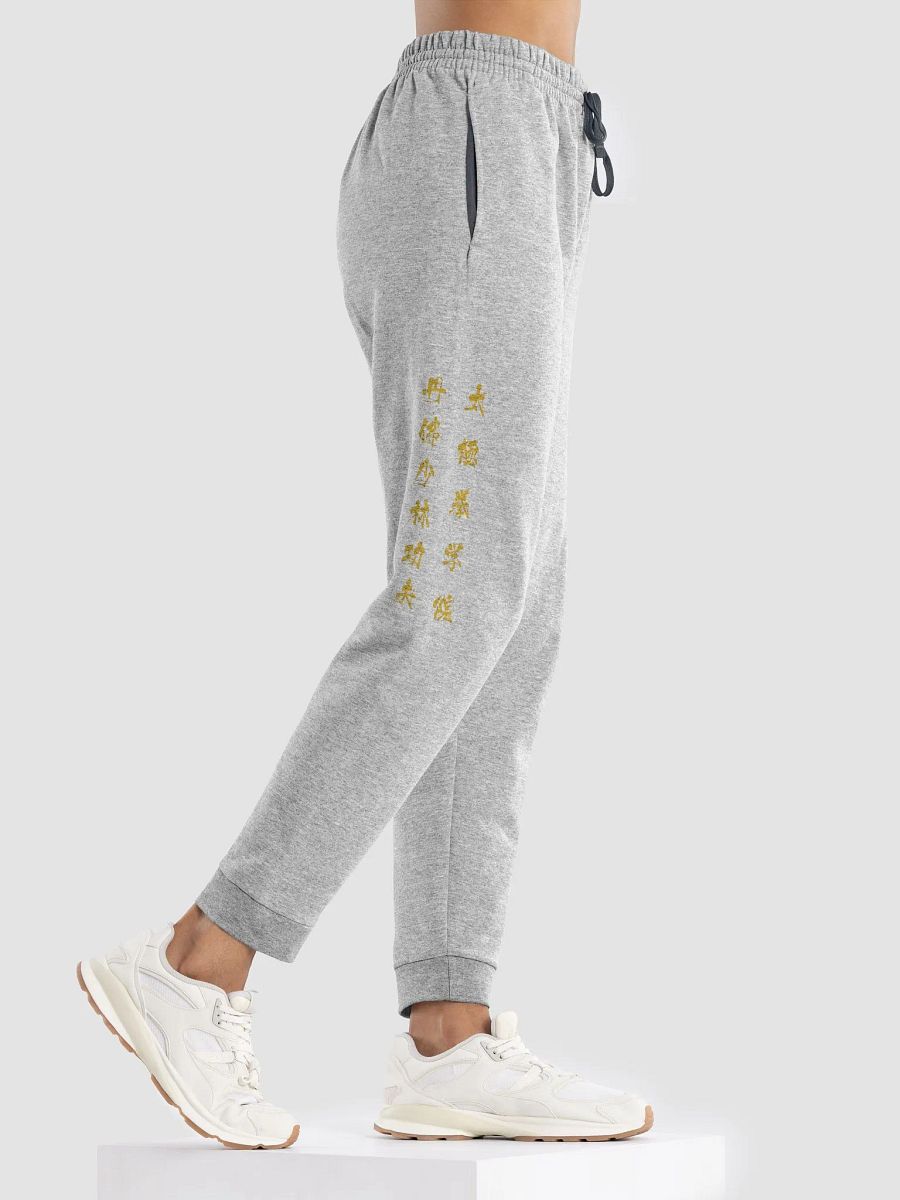 DSTJI Joggers product image (12)