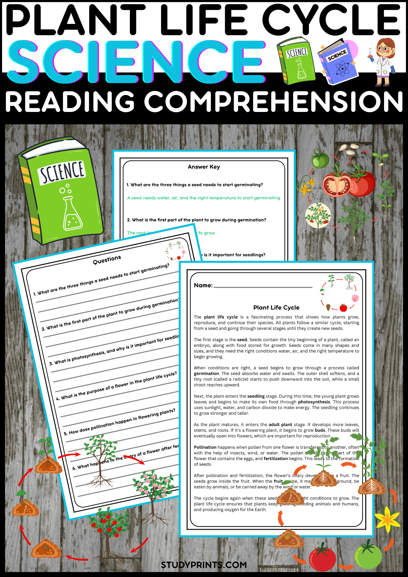 Plant Life Cycle Reading Passage with Comprehension Questions product image (1)