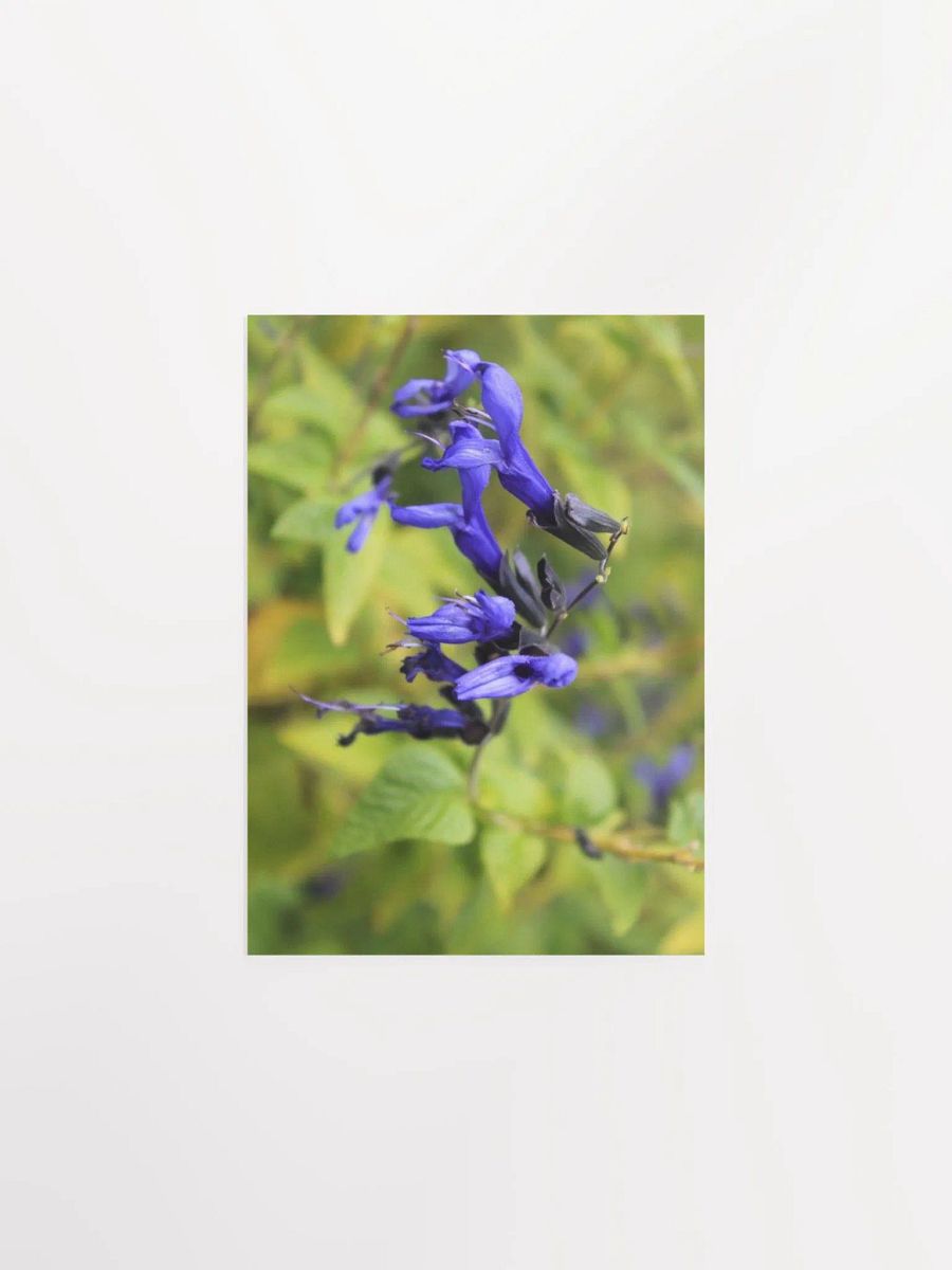 A Study in Flowers 3 product image (9)