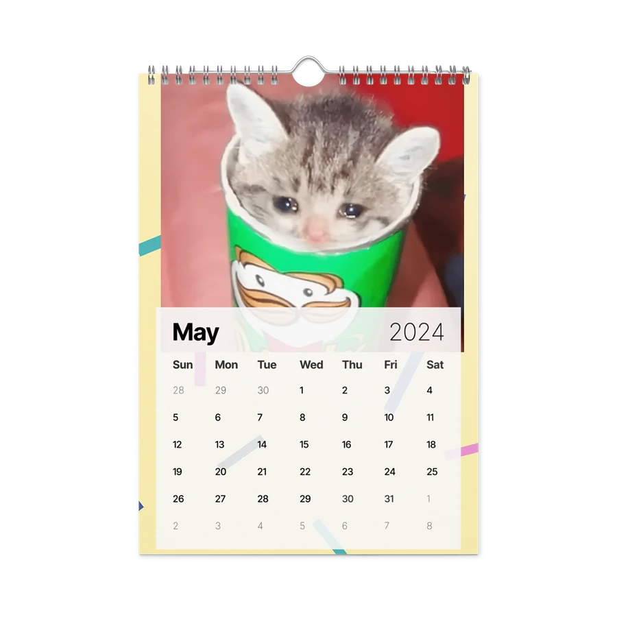 Wall Calendar (2024): Meme Cats product image (14)