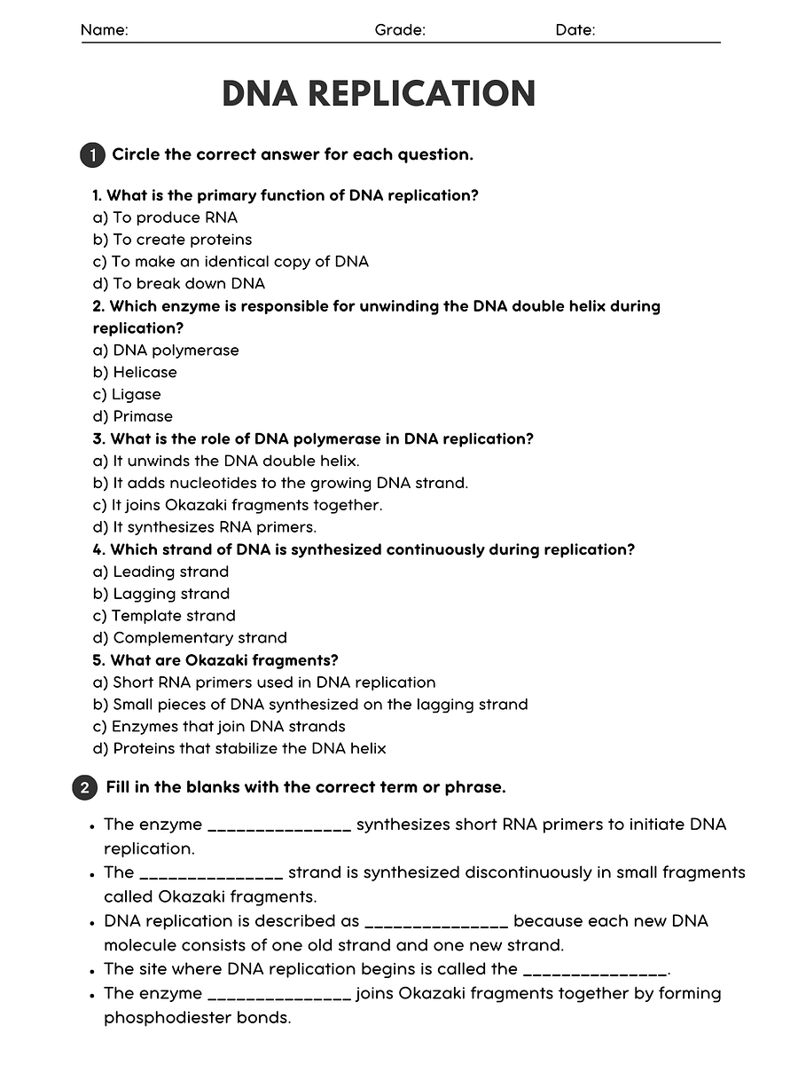 Biology DNA Replication Worksheet - Printable PDF with Answer Key product image (1)