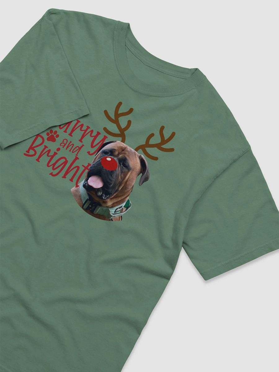 Furry & Bright Short Sleeve Tee product image (41)