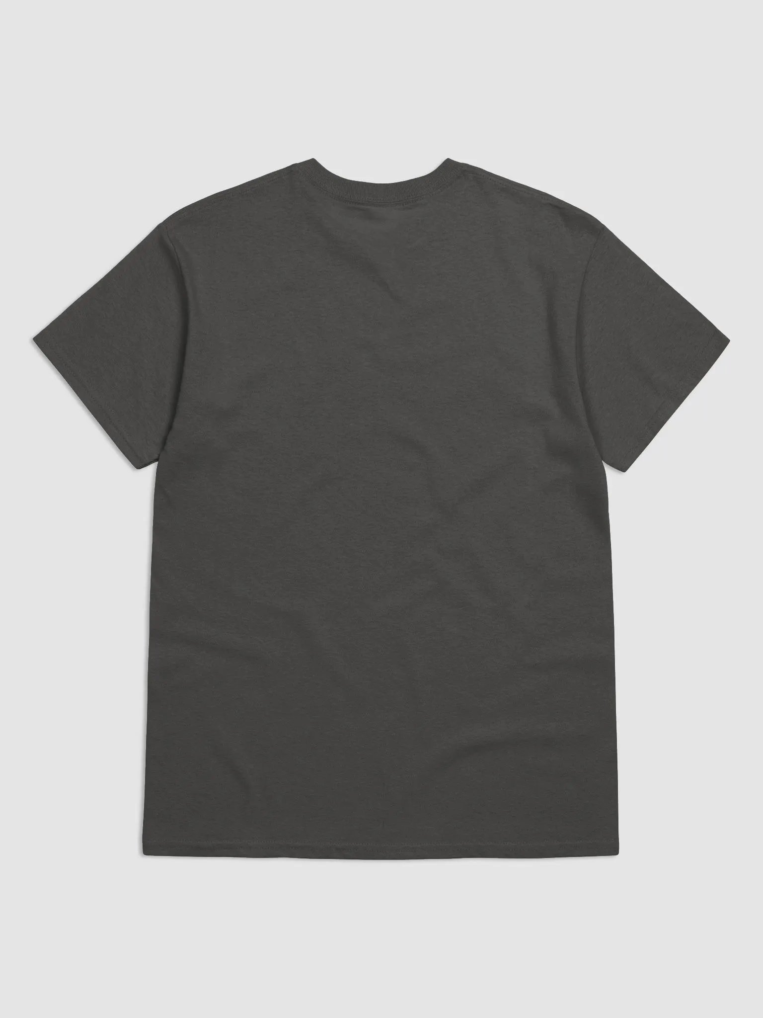 UNASHAMED Tee product image (8)
