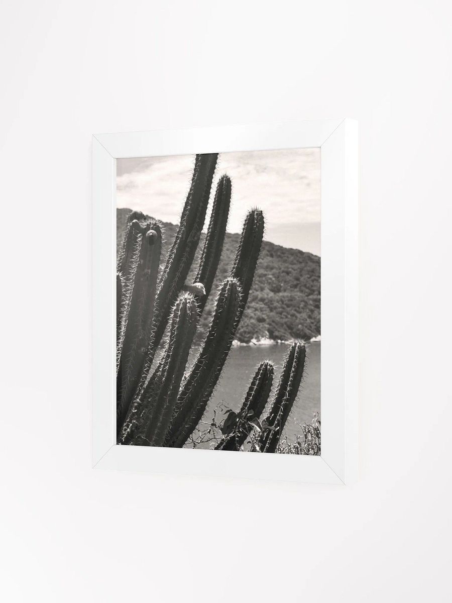 Mexico Lindo - Framed High-Quality Matte Poster product image (3)