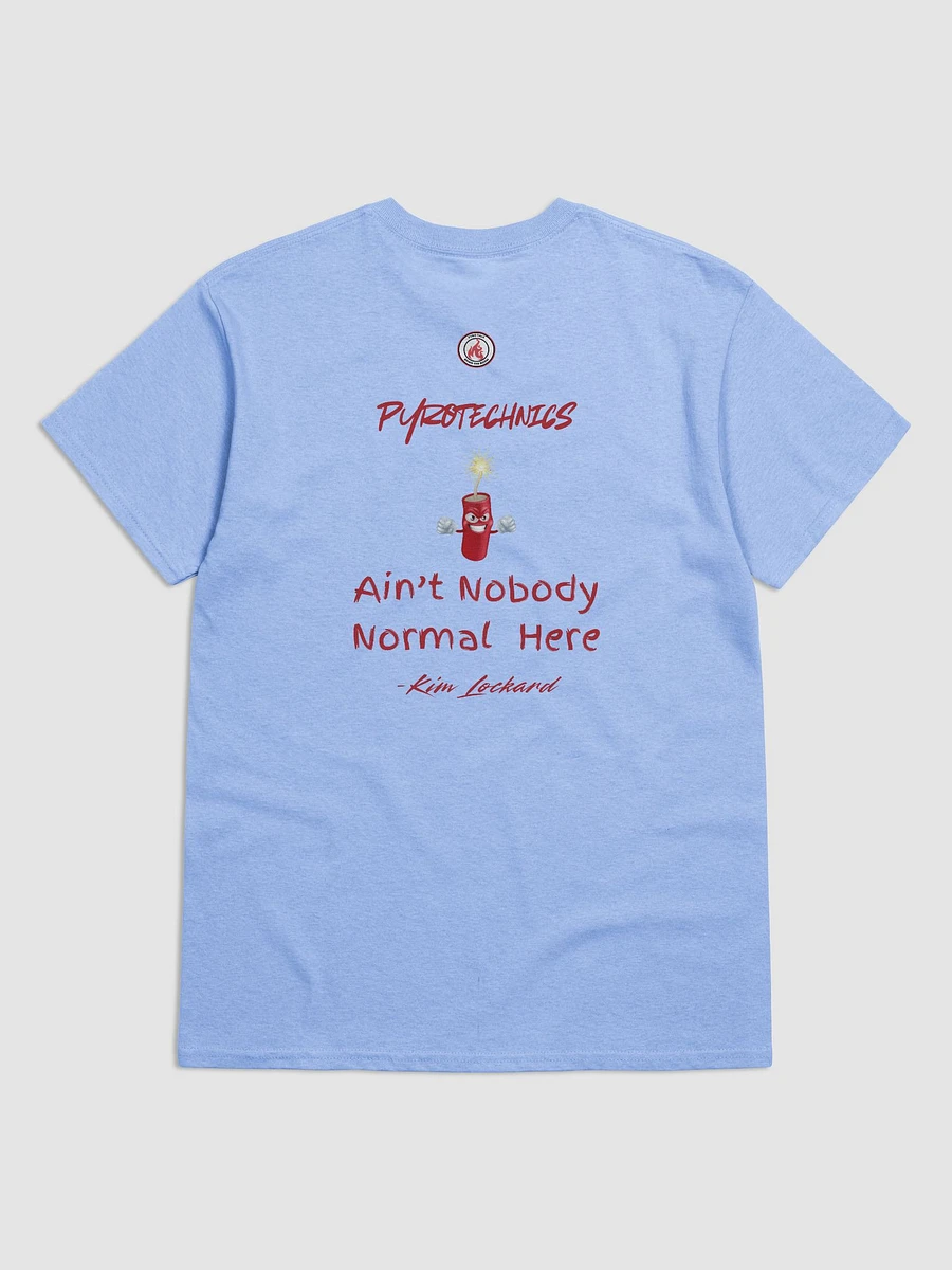 Ain't Nobody Normal T-shirt product image (9)