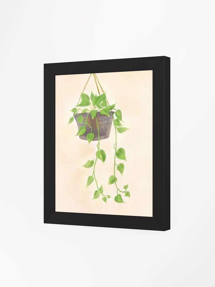 Hanging Plant product image (97)