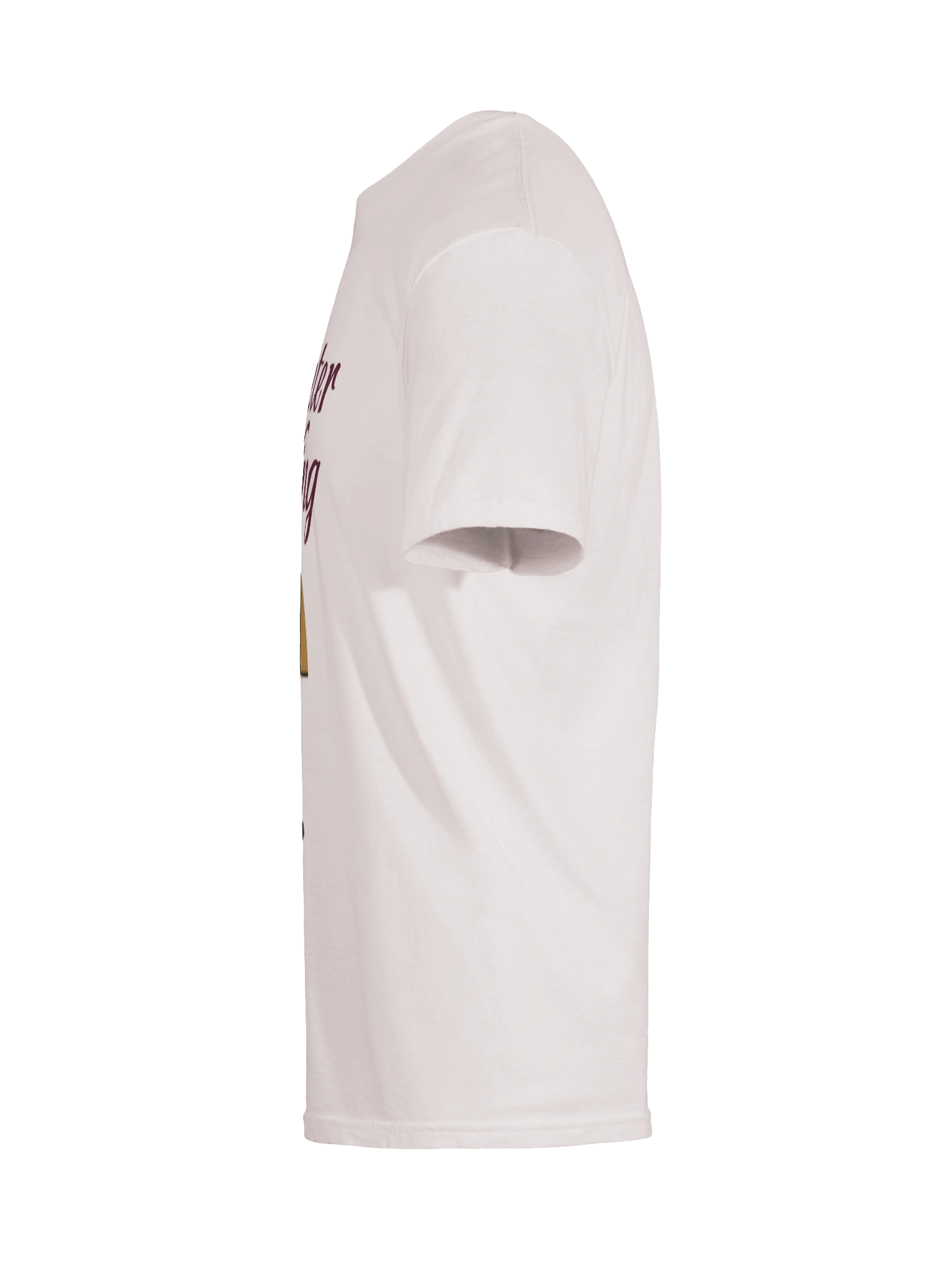 Daughter of The King | Softstyle T-Shirt product image (161)