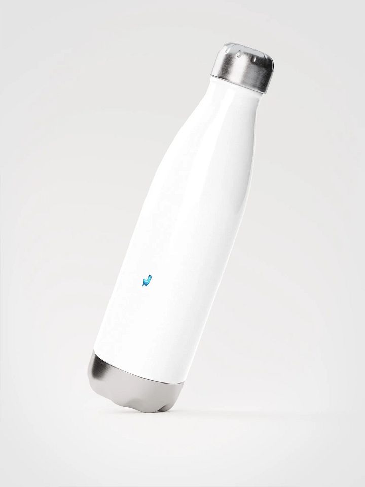 Insulated Stainless Steel Water Bottle product image (2)
