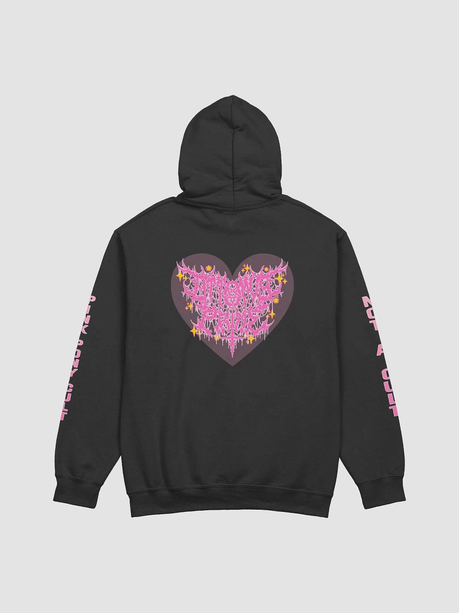 Not A Cult Hoodie 💖SPECIAL EDITION💖 product image (3)