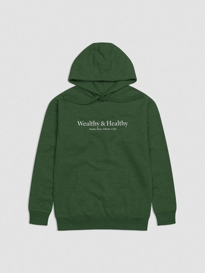 Wealthy & Healthy - Embroidered Hoodie product image (5)