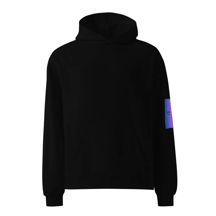 SSYN Winter Hudie product image (2)