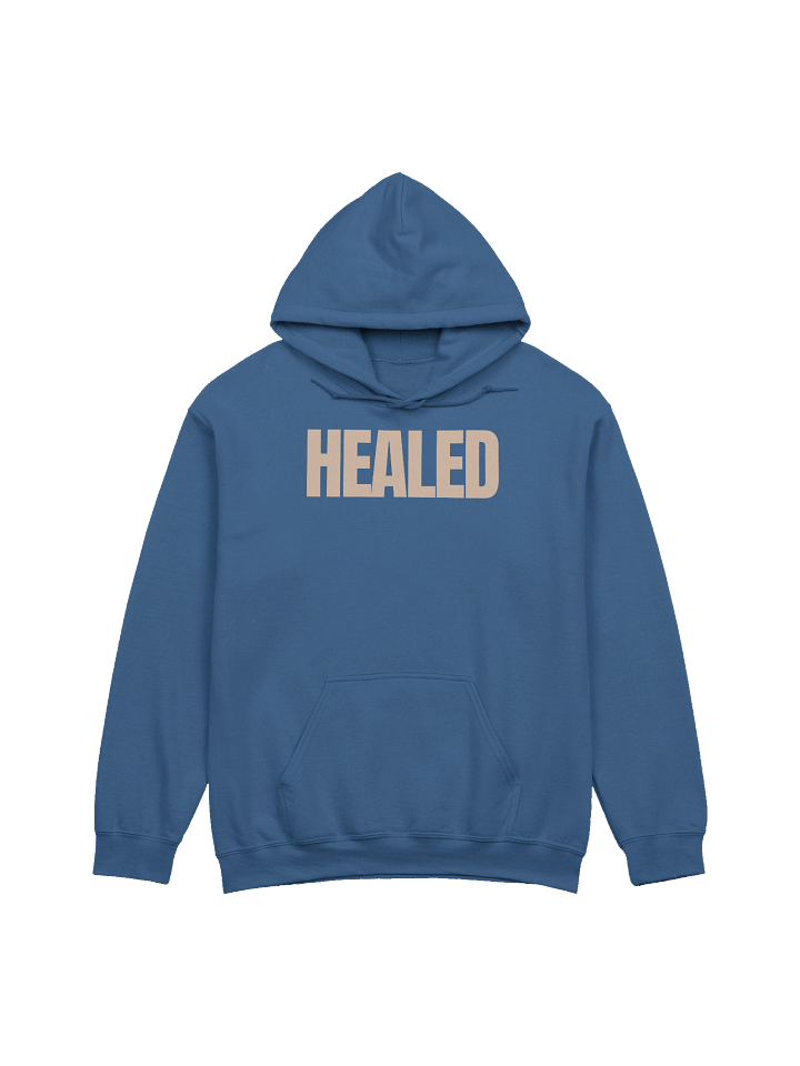 HEALED CLASSIC FIRST EDITION HOODIE product image (9)