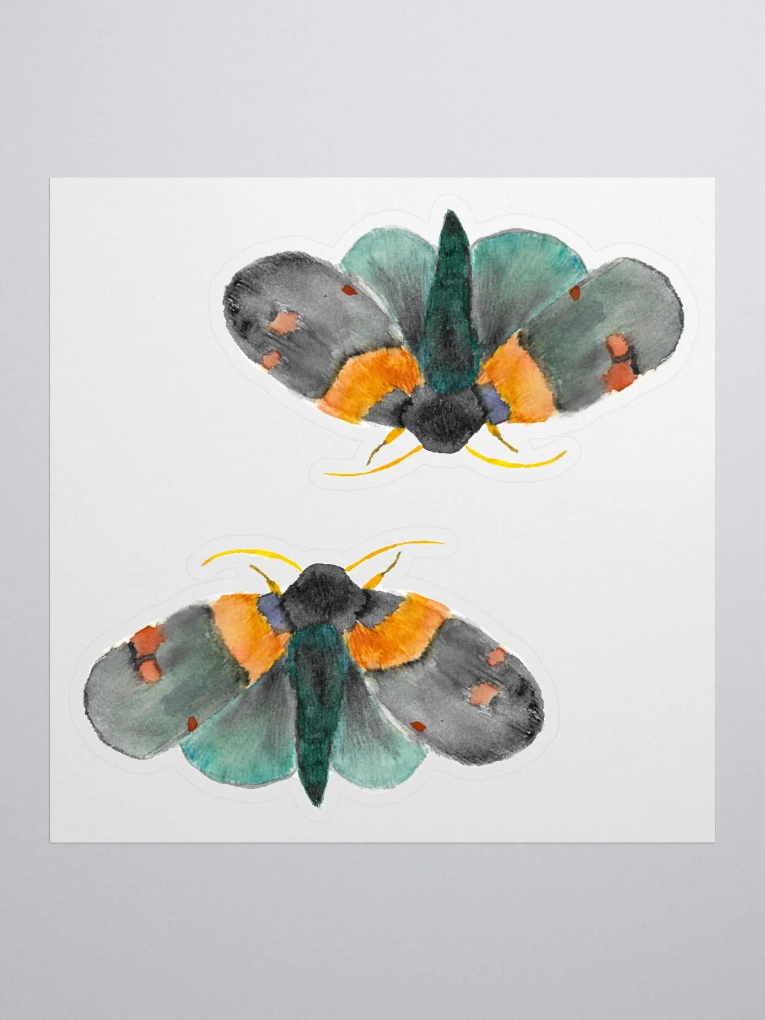 African Peach Moth Sticker (x2) product image (1)