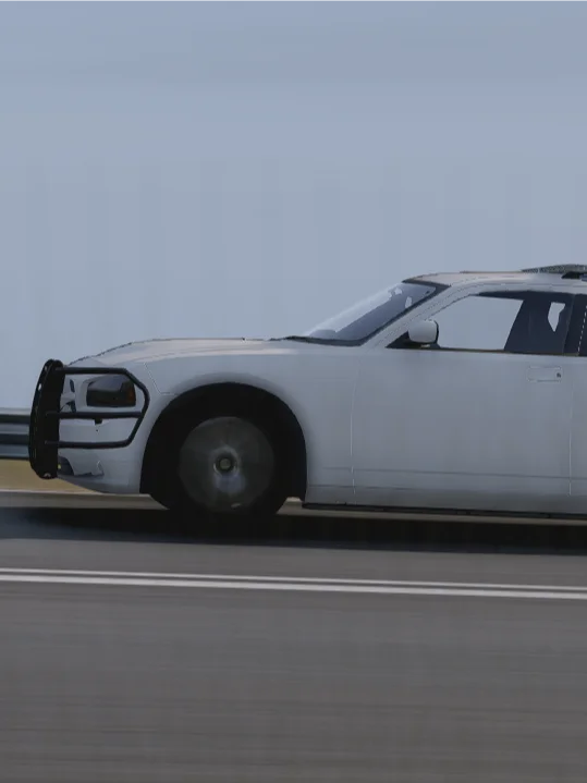 2006 LEO Bravado Buffalo product image (6)