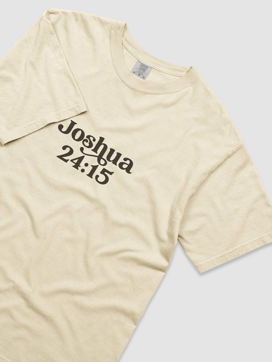 As For Me And My House Heavyweight Tee product image (3)