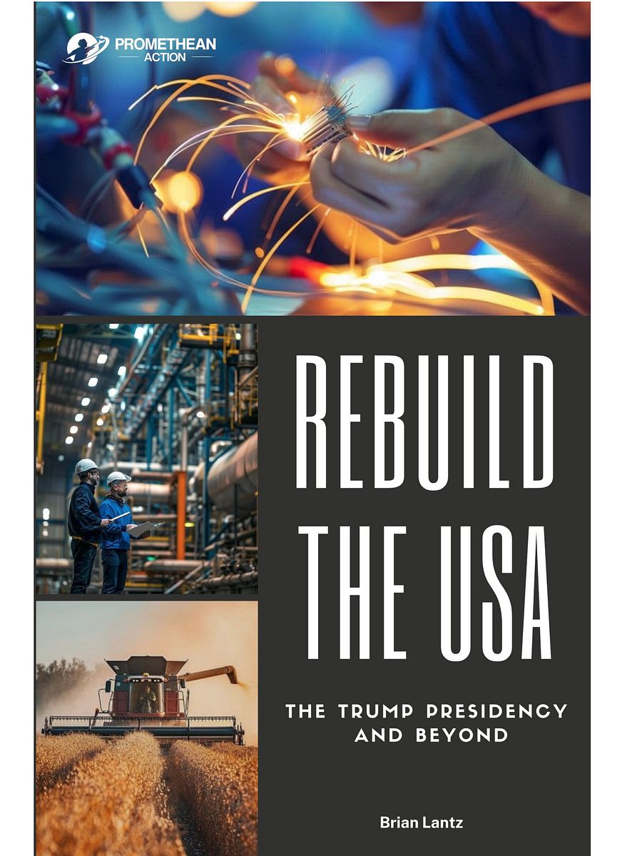 Rebuild the USA: The Trump Presidency and Beyond - Digital Edition (.epub) product image (1)
