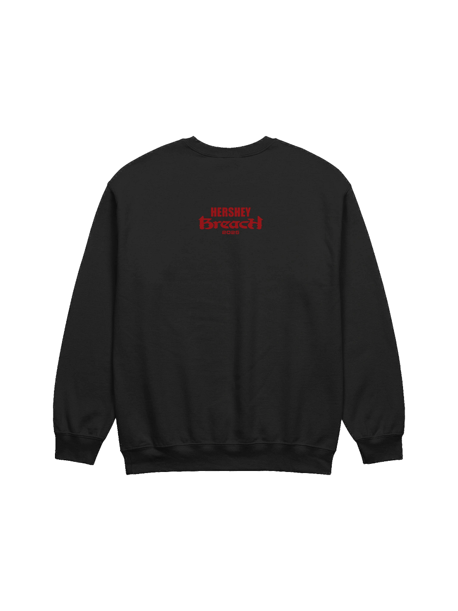 Breach Hersheypark Stadium Pullover product image (2)